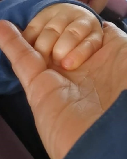 NON SOLITUDINI TRIBUTUM/Bu Bir Yalnızlığa Övgü Yazısı&nbsp;Değildir