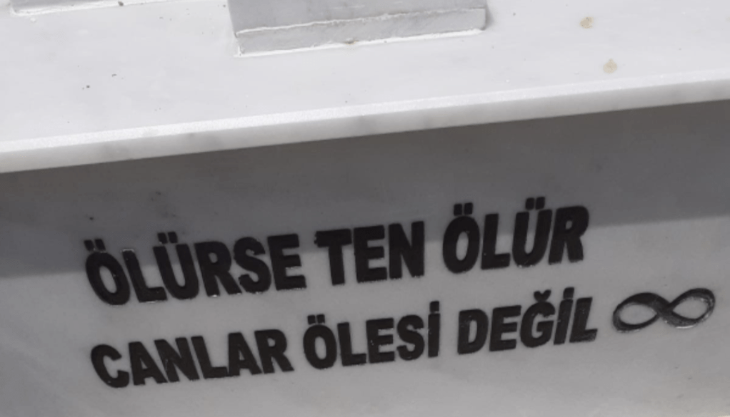 VİDE SUPRA / Daha Yukarısını&nbsp;Gör