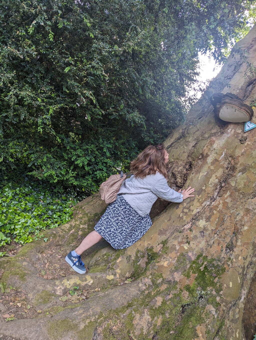 QUİ ROGAT, NON ERRAT/Soru Sormak Hata&nbsp;Değildir.