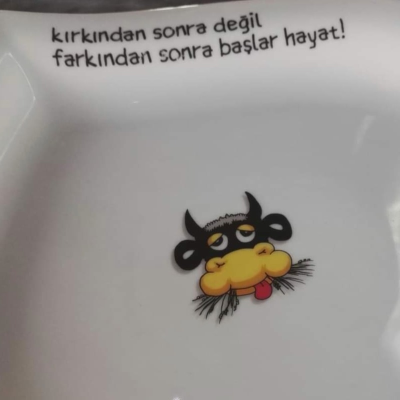 QUAE NOCEN DOCENT/Yaralayan Şey&nbsp;Öğreticidir.