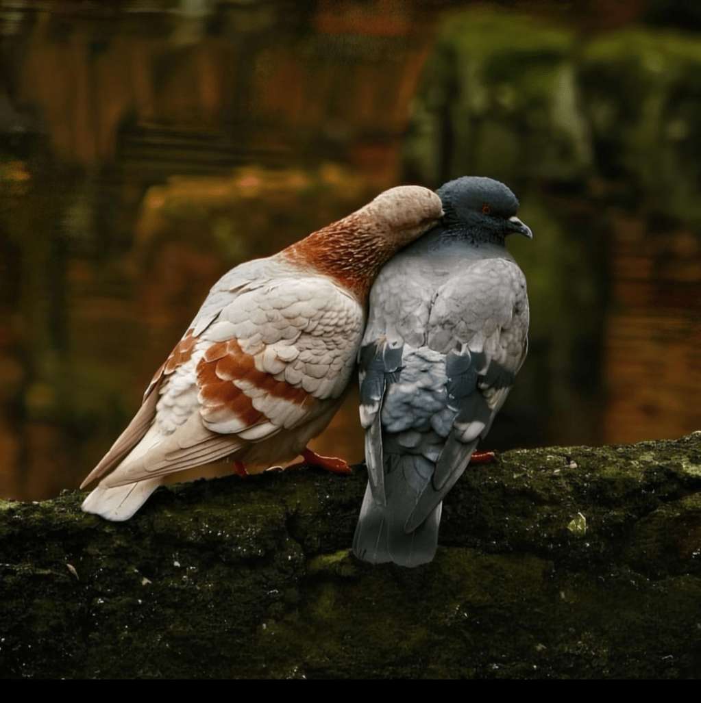 Balık, Çocuk ve Doğru&nbsp;Sevgi